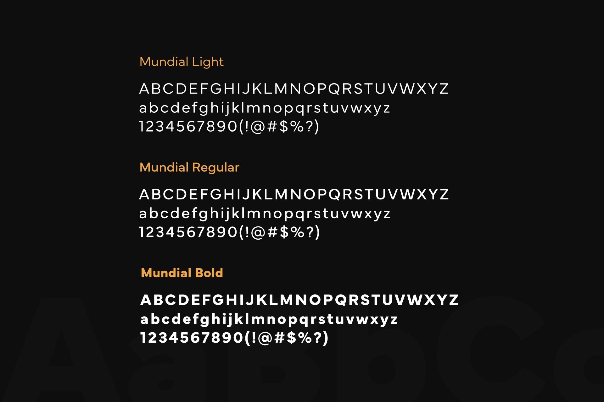 Demcon - Branding - Wolf Concept - Oradea